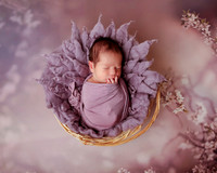 Newborn Photography 8.14.2026